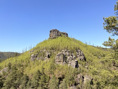 145-IMG_5667