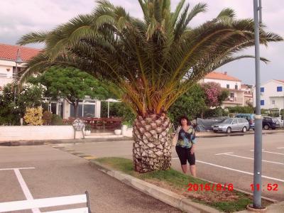 335-CIMG0972